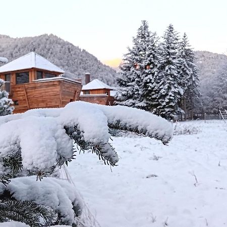 Escale Cab'Ane Otel Mittlach Dış mekan fotoğraf